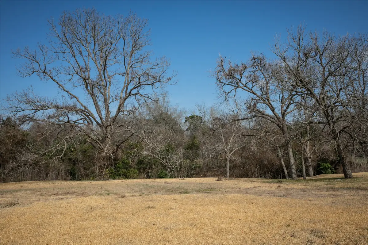 TBD Sycamore Street, Brenham, TX 77833 - #1