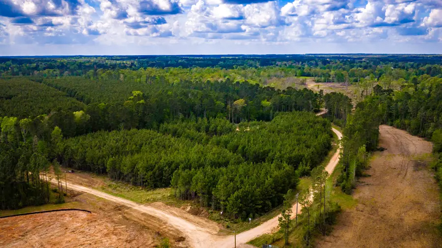 0 Jimbo Nettles Road, Livingston, TX 77351 - #3