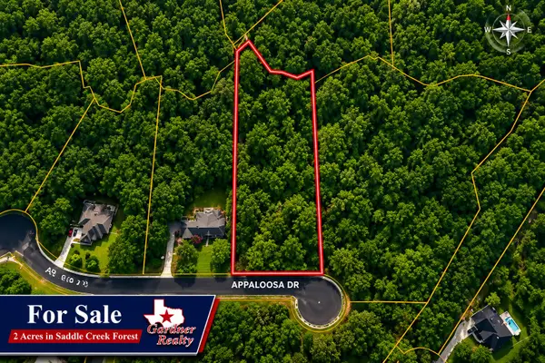 17847 Appaloosa Dr, Waller, TX 77484