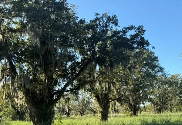 0 County Road 13, Damon, TX 77430