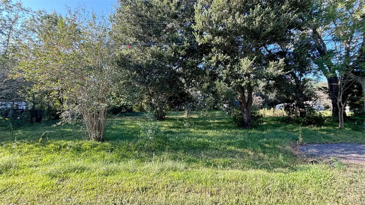 19101 Forest Street, Alvin, TX 77511 - #1
