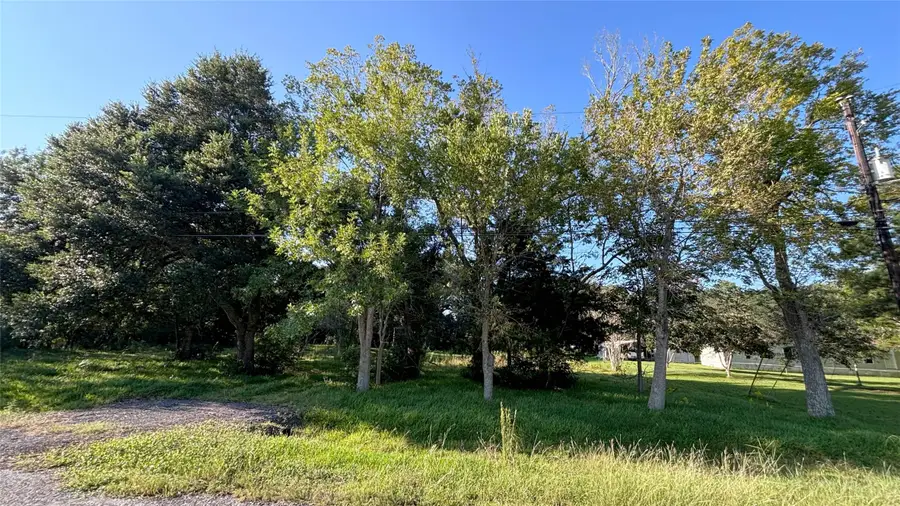19101 Forest Street, Alvin, TX 77511 - #2