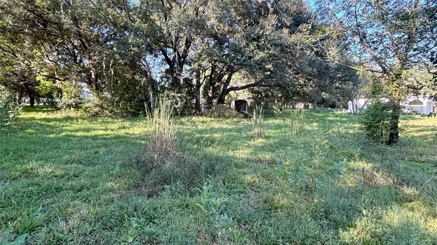 19101 Forest Street, Alvin, TX 77511 - #3