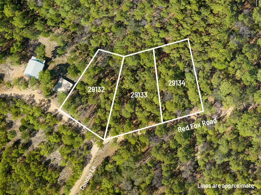 TBD Red Fox, La Grange, TX 78945 - #2