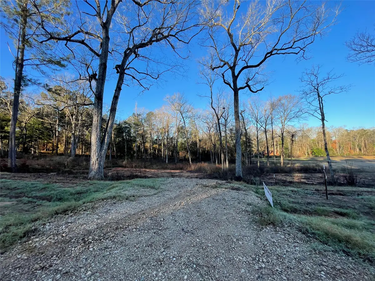 11357 Annie Creek Drive, Willis, TX 77378 - #1