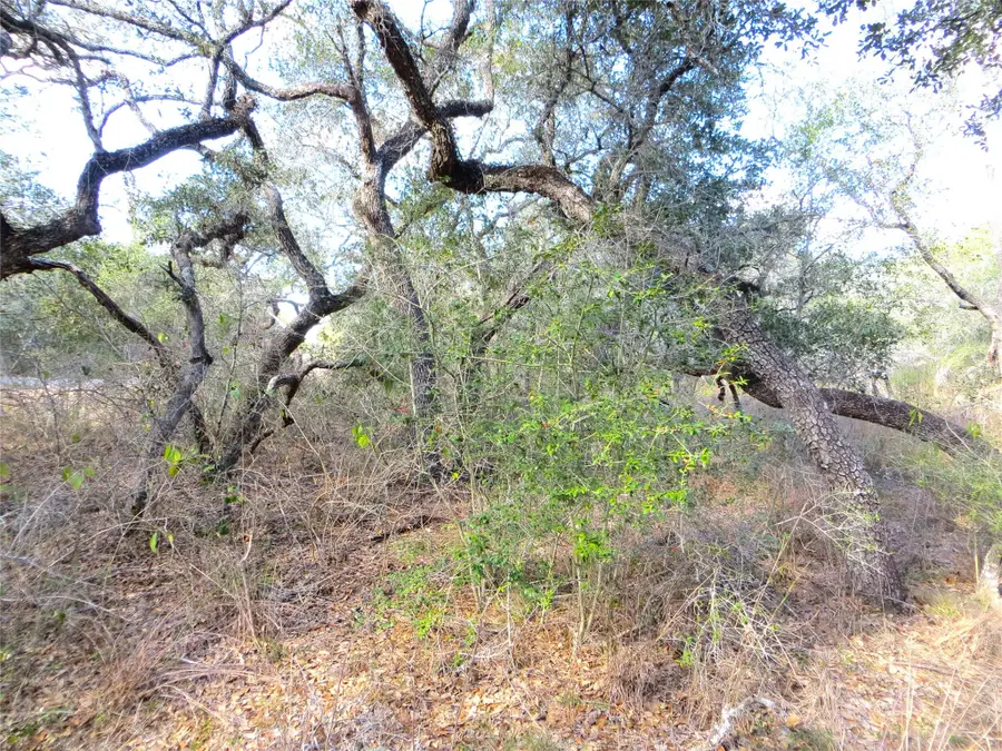 1078 Indian Circle Rd, Altair, TX 77412 - Image #3