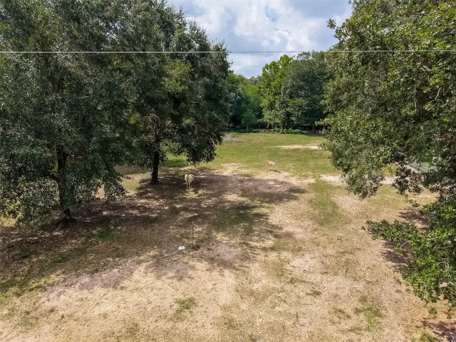 24923 N Clear Creek Road, Hockley, TX 77447 - #2