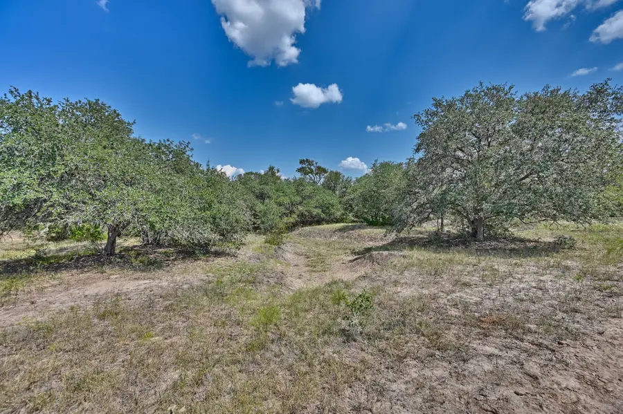 TBD(+/-237.91 AC) Hwy 36 S, Caldwell, TX 77836 - #2