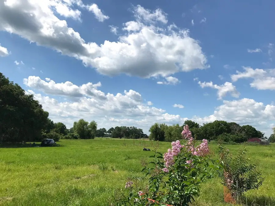 762 Stallion Circle, Angleton, TX 77515 - #3