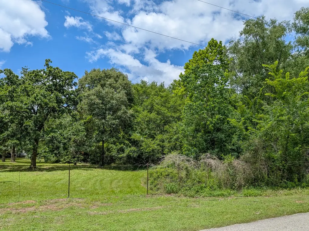 Tract 19 County Road 302, Navasota, TX 77868 - #1