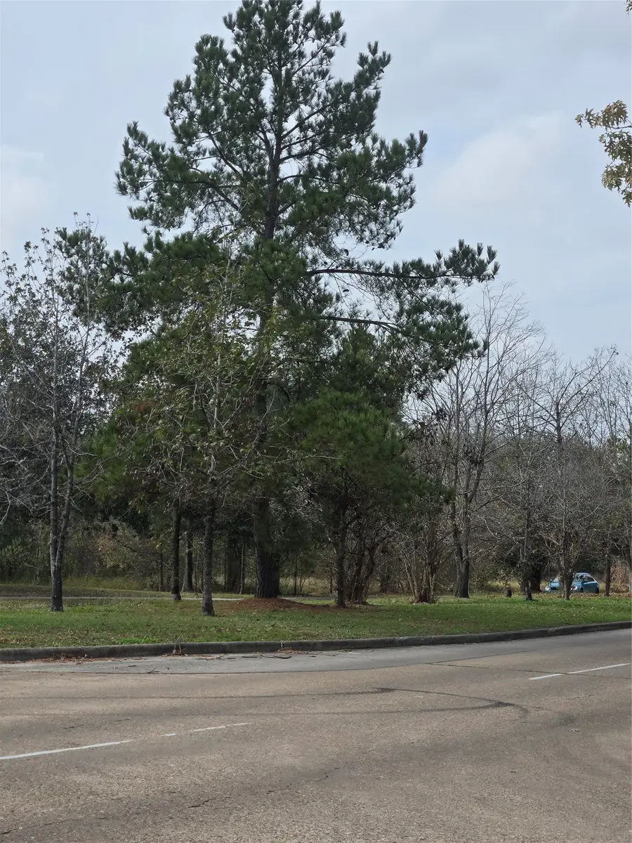 1134 Wynnwood Lane, Houston, TX 77008 - #3
