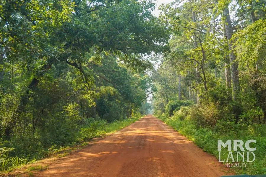 00 Forest Service Road 511, Grapeland, TX 75844 - #2
