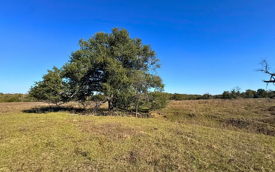 4834 Old Boone Prairie Road - 108 Acres, Franklin, TX 77856 - #2
