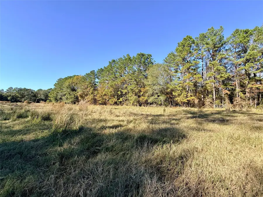 000 Lakeland Drive, Hillister, TX 77624 - #2