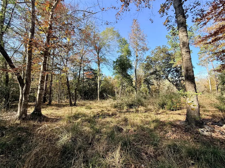 000 Lakeland Drive, Hillister, TX 77624 - #3