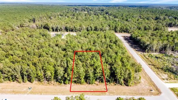 1506 Road 66119, Dayton, TX 77535