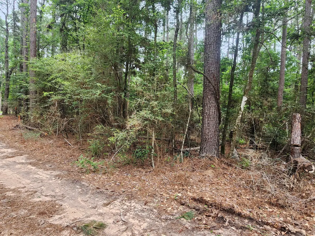 277 Long King, Livingston, TX 77351 - #1