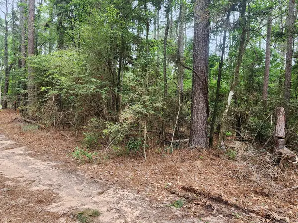 277 Long King, Livingston, TX 77351