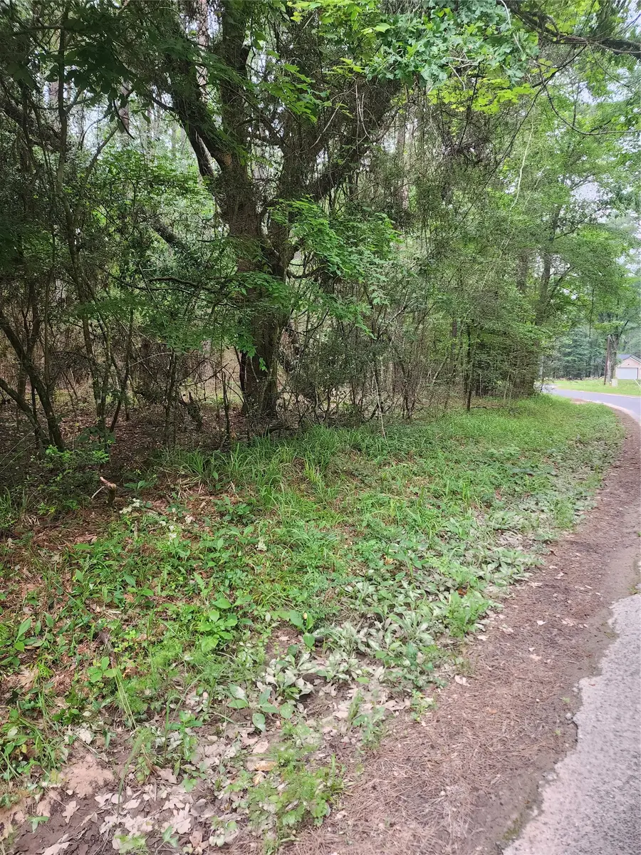 277 Long King, Livingston, TX 77351 - #3