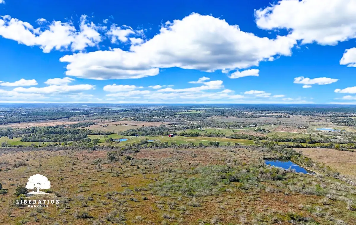 13316-001 Farm To Market Rd 2620, Bedias, TX 77831 - #1