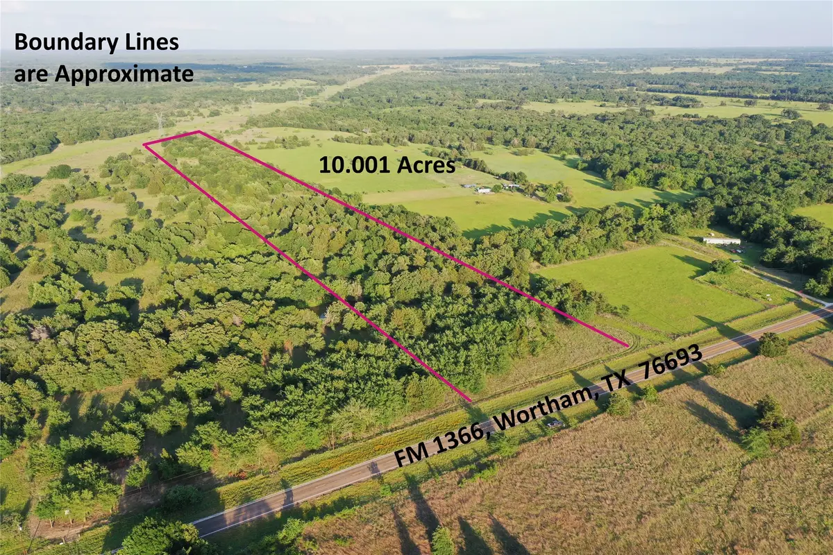 TBD Fm 1366, Wortham, TX 76693 - #1