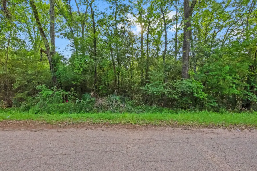 0 W Essex Drive, Conroe, TX 77302 - #2