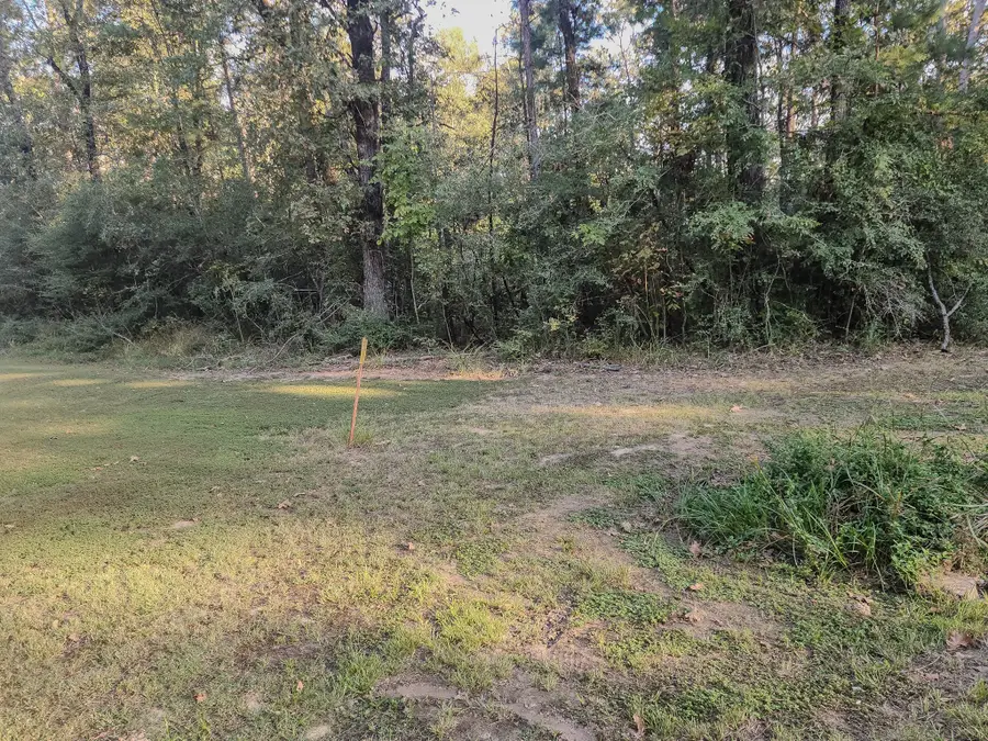 0 Hackberry Drive, Onalaska, TX 77360 - Image #2