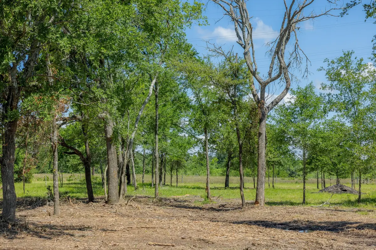 6575 Atakapan Trail, Bedias, TX 77831 - #1
