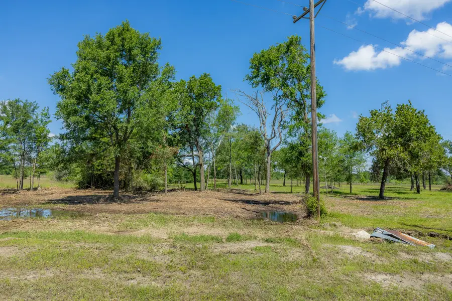 6575 Atakapan Trail, Bedias, TX 77831 - #3