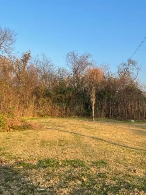 5810 Wipprecht Street, Houston, TX 77026 - #3