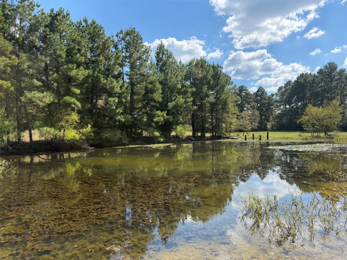 15031 Fm 542, Oakwood, TX 75855 - #1