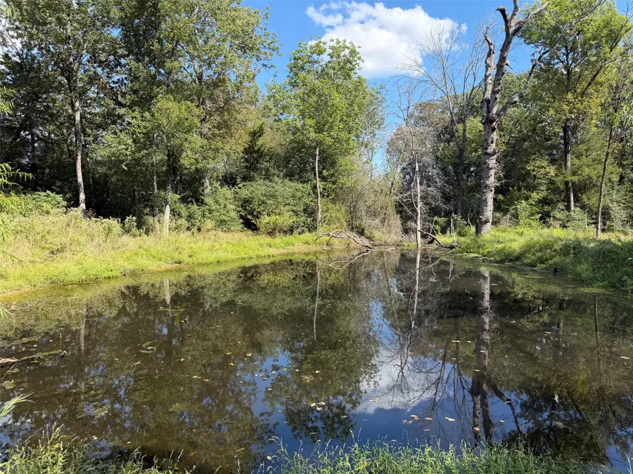 15031 Fm 542, Oakwood, TX 75855 - #3
