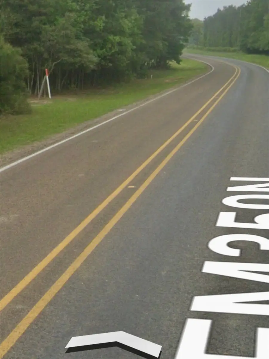 3709 Fm 350 N, Livingston, TX 77351 - Image #3