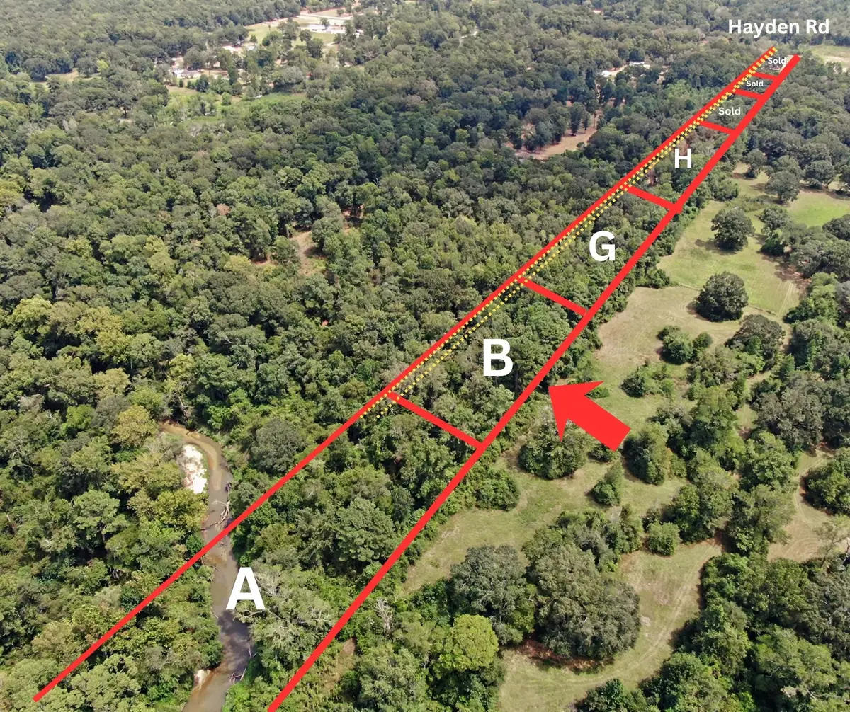 B Hayden Road, Conroe, TX 77306 - #1