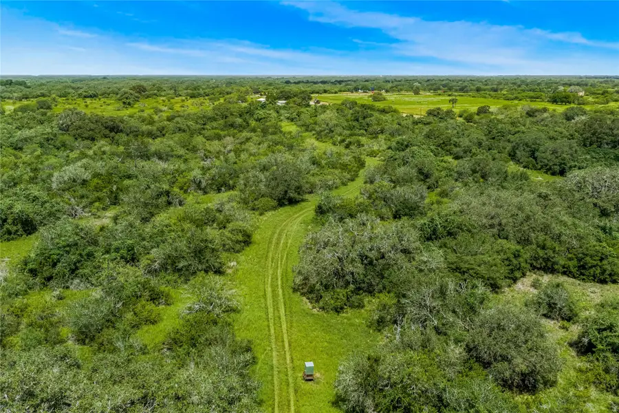 000 Mcguill Road, Goliad, TX 77963 - #2