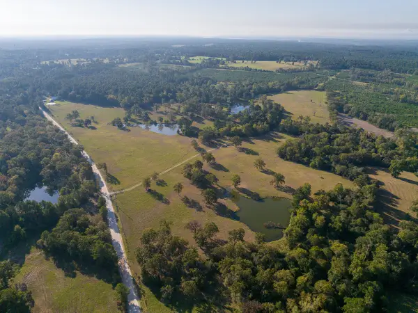 9328 Glendale Holly Road, Trinity, TX 75862