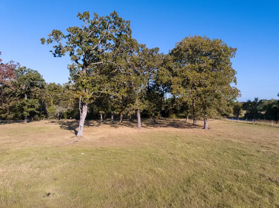 9328 Glendale Holly Road, Trinity, TX 75862 - Image #2