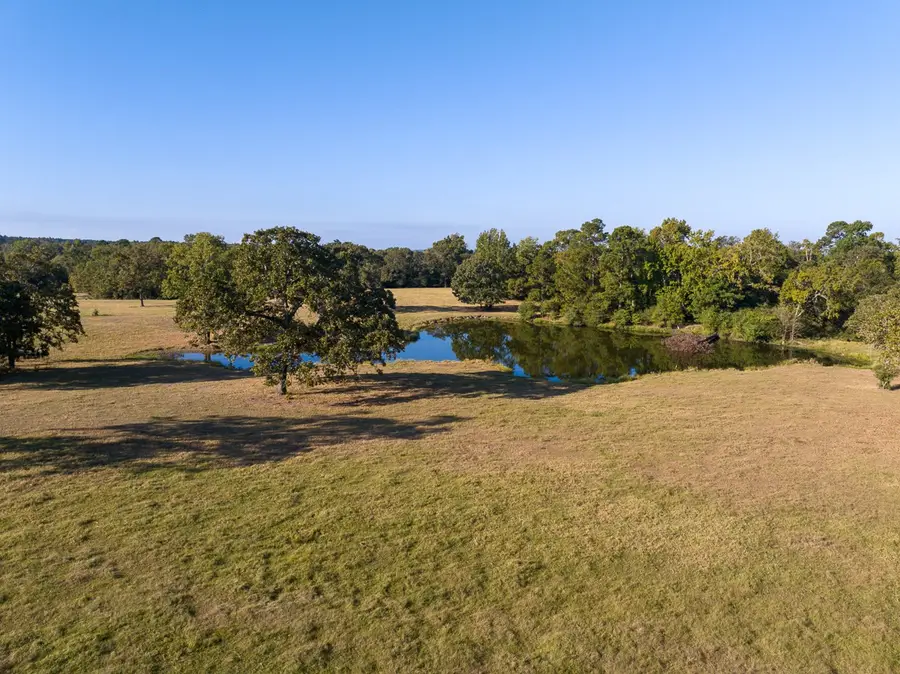 9328 Glendale Holly Road, Trinity, TX 75862 - Image #3