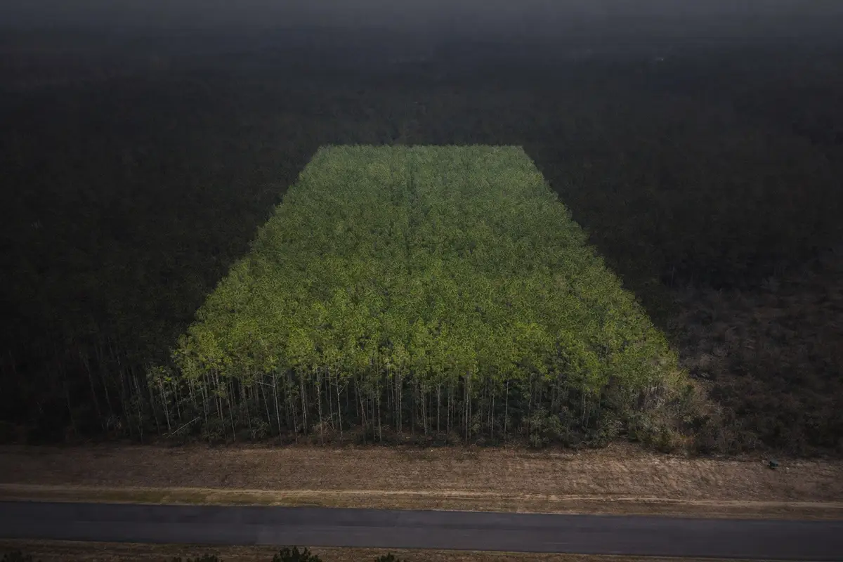 16098 Forest Mill Road, Willis, TX 77378 - Image #1