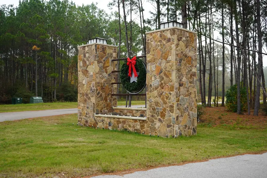 16098 Forest Mill Road, Willis, TX 77378 - Image #2