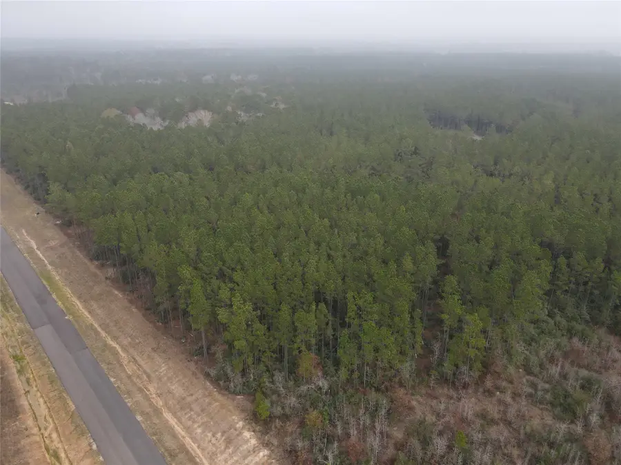 16098 Forest Mill Road, Willis, TX 77378 - Image #3