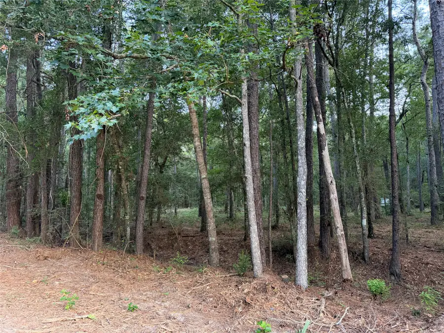 43 Sims Oak Road, Splendora, TX 77372 - #2