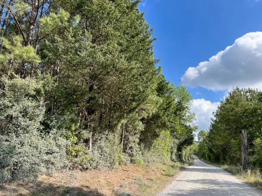 1 Cr 4300, Woodville, TX 75979 - #2