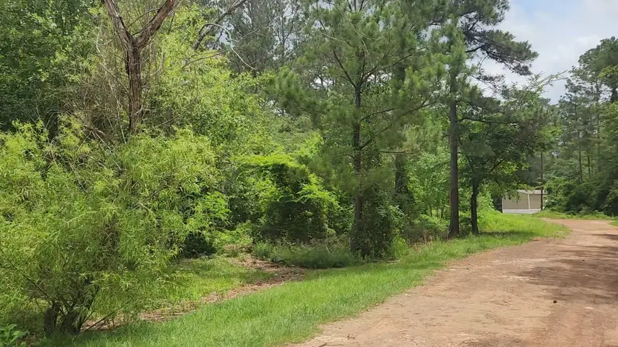 Lot 14 Basswood Lane, Plantersville, TX 77363 - #3