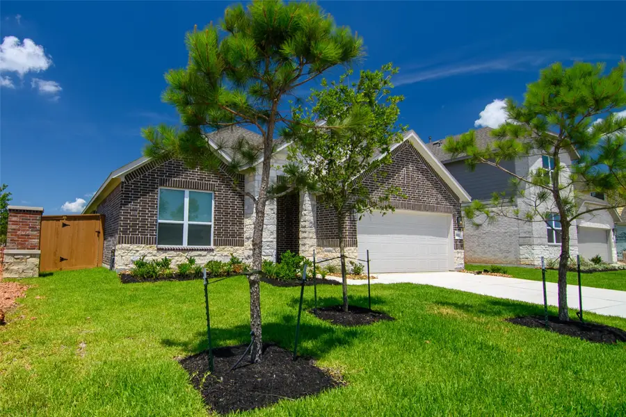 1552 Dawn Harbor Drive, Katy, TX 77493 - #3