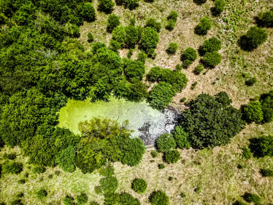 12224 Jinkins Road, North Zulch, TX 77872 - #2