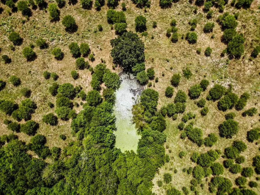 12224 Jinkins Road, North Zulch, TX 77872 - #3