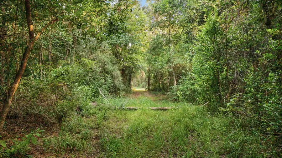 4849 Menard Chapel Road, Livingston, TX 77351 - #2