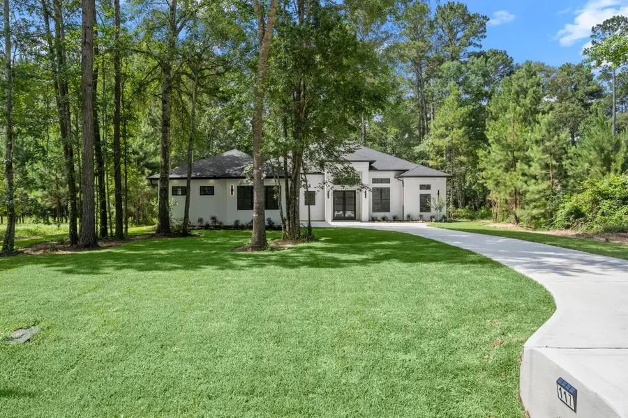 117 Sandpiper Drive, New Waverly, TX 77358 - #2