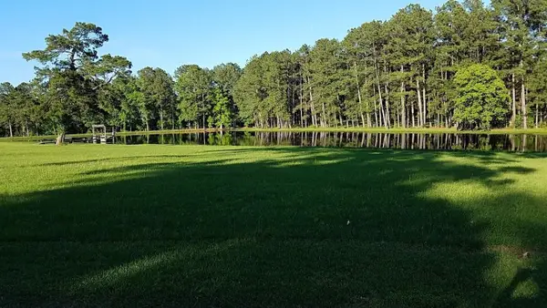 0 Lincoln Wiggins Street, Livingston, TX 77351